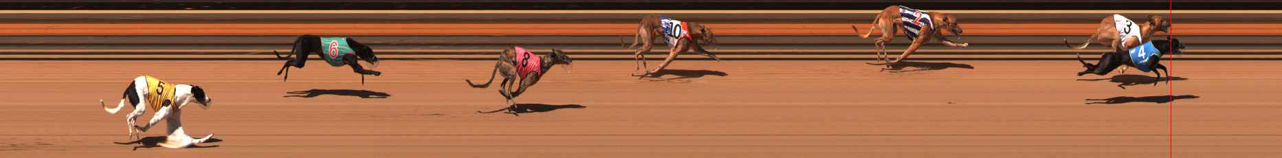 Race result finish photo